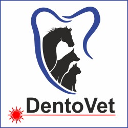 Cabinet stomatologie veterinara Dentovet:Cabinet veterinar de stomatologie - Dentovet, Servicii veterinare de stomatologie, Cluj