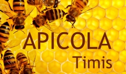 Apicola:Apicola - Magazin produse apicole, Produse apicole, cosmetice, tratamente si suplimente apicole, medicamente pentru albine, utilaje apicole, Timisoara