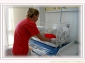  ( tratamentul infertilitatii cuplului timisoara - laborator analize medicale timisoara ) 
