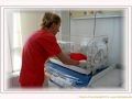  ( fertilizare in vitro timisoara - recoltare celule stem timisoara ) 