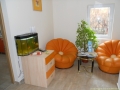 Doca Dent ( endodontie timisoara - estetica dentara timisoara ) 