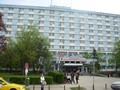 Dr. Adriana Gaina ( servicii medicale neurologie timisoara -  ) 