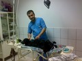 Cabinet de medicina veterinara, farmacie veterinara, Timisoara ( hrana animale timisoara - tratamente veterinare timisoara ) 