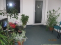 Dr. Grozavescu Cristina ( servicii stomatologie timisoara - profilaxie dentara timisoara ) 