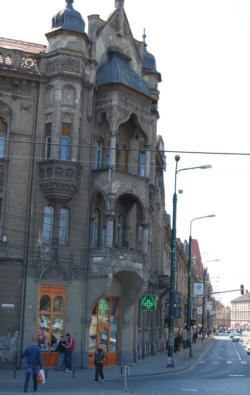 Kalyteea: Drogherie Farmacie Kalyteea - magazin produse naturiste, pilula de slabit, farmacie homeopatie naturista Timisoara, produse pentru slabit, produse pentru sportivi pro nutrion, ulei de canepa, germeni de brocoli, sedative naturale gemoderivate, dermato-cosmetice Kalyteea, Drogherie Kaliteea Kalytea Farmacie Timisoara, Romania