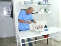 Maxivet ( cabinet veterinar timisoara - pet shop-uri timisoara ) 