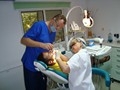 ( cabinet medical dentar timisoara - chirurgie dento-alveolara timisoara ) 