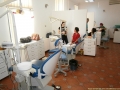 Royal Dent ( clinica stomatologie timisoara - protetica dentara timisoara ) 