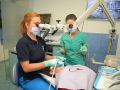  ( Dr. Borcoman Stoma Dental Line - proteze dentare ) 