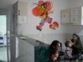 Cabinet de alergologie, pediatrie, ecografie generala, Arad ( ecografie generala arad - tratamente desensibilizare arad ) 