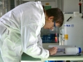 Ultra Clinica ( laborator analize medicale arad -  ) 