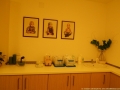  ( consultatii ginecologie timisoara -  ) 
