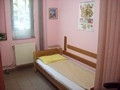  ( deviatie sept timisoara - miringoplastie timisoara ) 