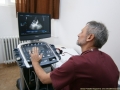  ( ekg timisoara -  ) 