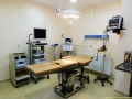  ( chirurgie generala timisoara -  ) 