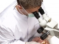 Cabinet de parodontologie, implantologie, microchirurgie, chirurgie orala, chirurgie dento-alveolara, Timisoara ( implantologie timisoara - microchirurgie orala timisoara ) 
