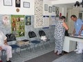 Clinica Veterinara Dr. Bolte ( homeopatie veterinara - neurochirurgie veterinara ) 