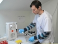  ( analize imunologie faget - determinari hormonale lugoj ) 