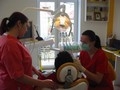 Cabinet medicina dentara, Timisoara ( tratamente stomatologice timisoara - proteze dentare scheletate timisoara ) 
