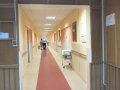 Dr. Gornic Eugen ( chirurgie laparoscopica timisoara - tratament chirurgical cancer colon timisoara ) 