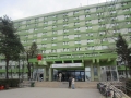 Medic primar chirurgie generala, Timisoara ( ecografie abdominala timisoara - spitalul judetean timisoara ) 