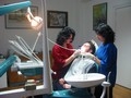 Dr. Marcus Elena ( relatii cu casa de asigurari timis - extractii dentare timisoara ) 