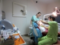  ( tratamente profilaxie paradontala timisoara - tratamente endodontie timisoara ) 