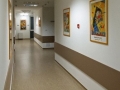 Dr. Romina Ripan, medic cardiolog ( ecografie lugoj -  ) 
