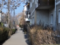  ( diagnostic boli pulmonare obstructive timisoara - tratament BPCO timisoara ) 
