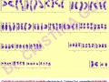 Genetica Dr. Gug ( genetica timisoara - analize genetice timisoara ) 
