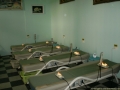  ( pat terapeutic timisoara - cresterea imunitatii organismului timisoara ) 