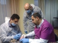 Cabinet Medicina Dentara Dr. Hadiji - Lugoj (  -  ) 